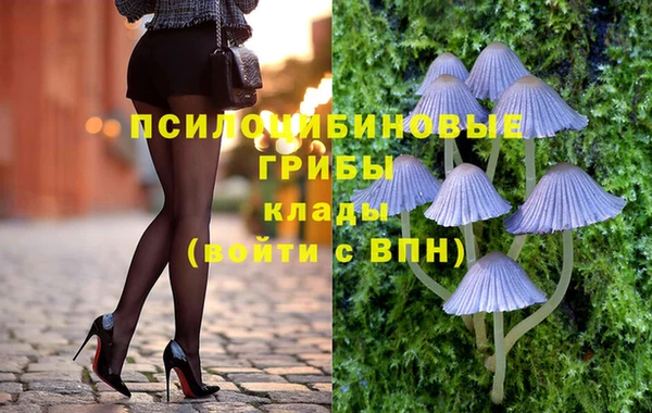 метадон Абаза
