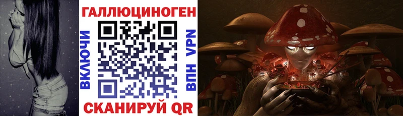 где продают наркотики Удомля Галлюциногенные грибы Cubensis