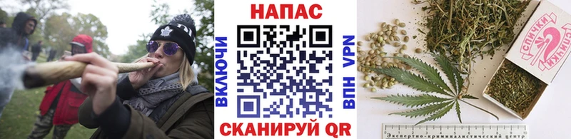 Канабис планчик  Удомля 